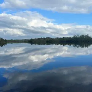 Lake Griffin State Park 1.5 Hour Eco Tour