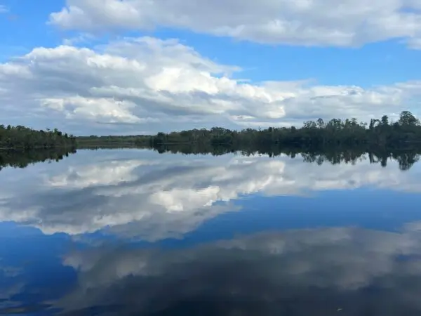 Lake Griffin State Park 1.5 Hour Eco Tour